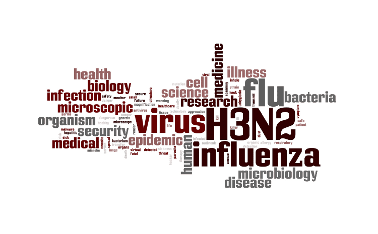  H3N2: The History, Symptoms, Diagnosis, Treatment, and Prevention